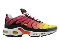 Nike Air Max Plus Tn Rainbow Gradient SKU-DX0755-600