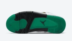 Air Jordan 4 WMNS Rasta SKU-AQ9129-100(5)