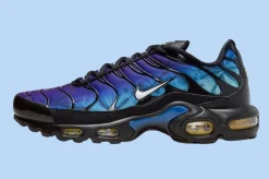 Nike Air Max Plus 25. Jubiläum SKU-FV0393-001(1)