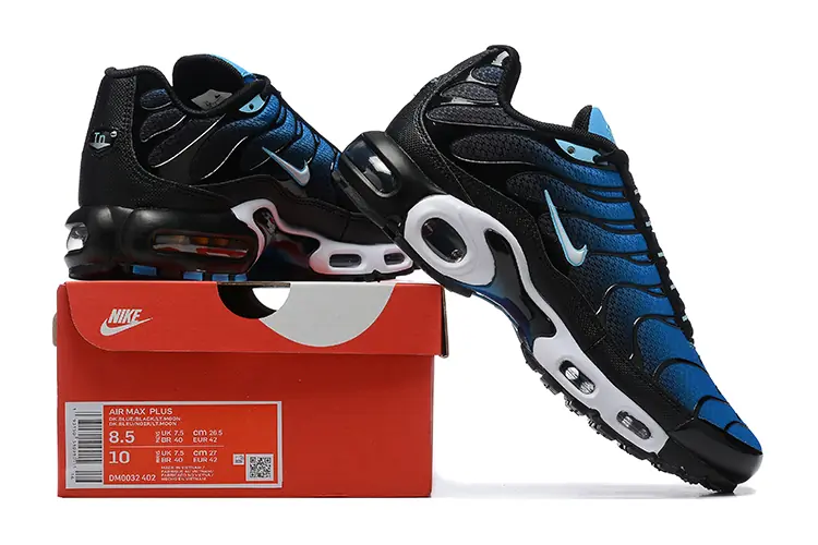 Nike Air Max Plus Wassermann Blau DM0032-402(1)