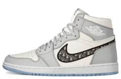 Dior x Air Jordan 1 High OG Wolf Grey White.webp