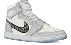 Dior x Air Jordan 1 High OG Wolf Grey White(1).webp